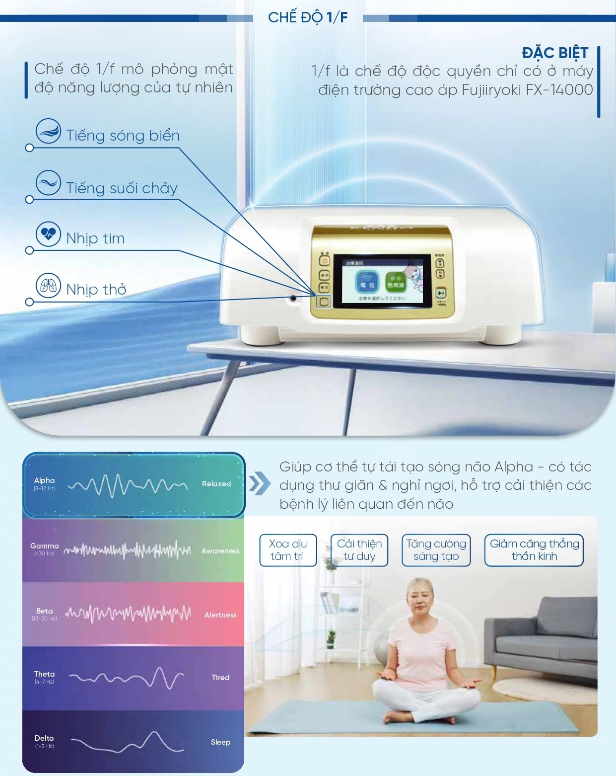 SOF-2025-01772 - mo ta san pham FX 14000 - 6